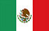 墨西哥TGM快速国家小组研究服务