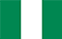 尼日利亚TGM国家小组